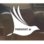 Findsight AI